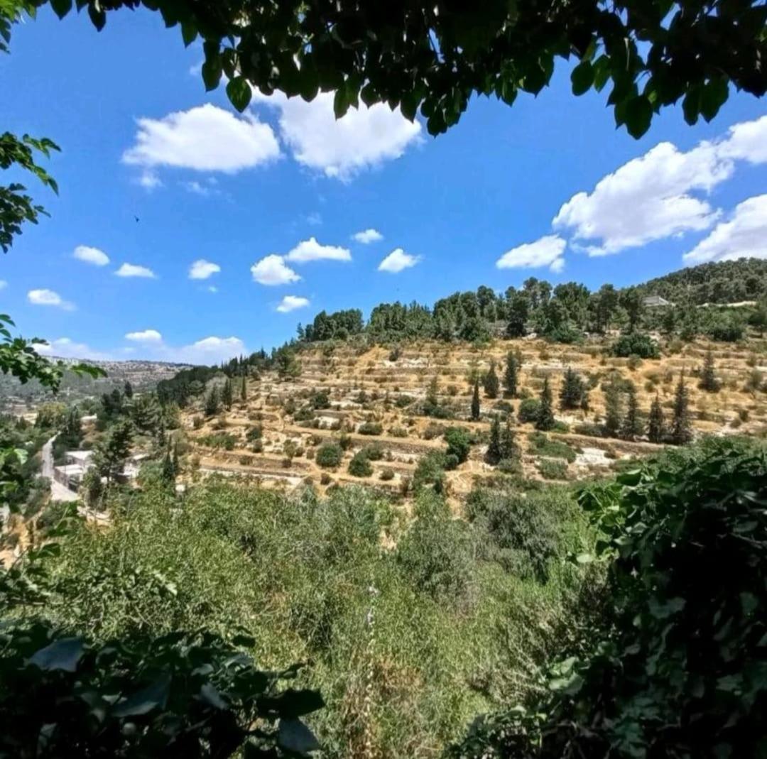 View Of The Valley Guest House Baitulmaqdis Luaran gambar